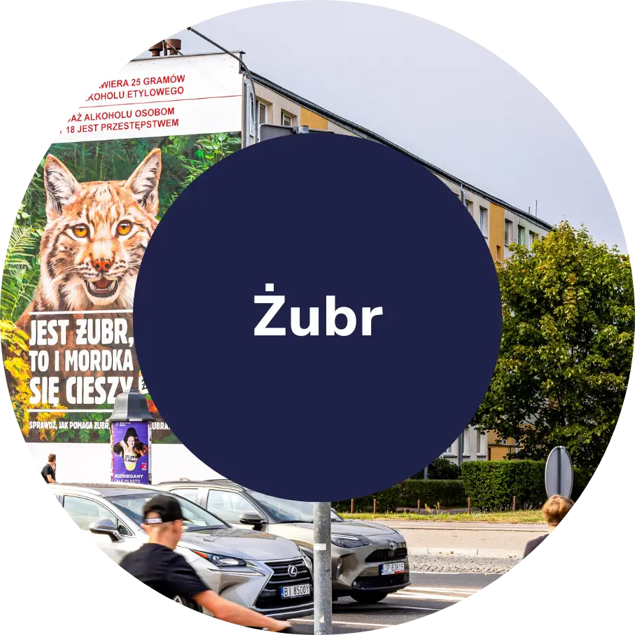 Mural antysmogowy Żubr w Białymstoku, Grupa RW, KNOxOUT