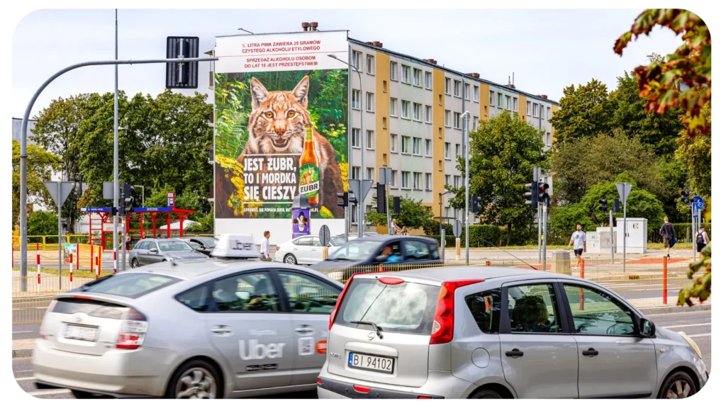 Żubr Białystok, ekologiczny mural, Grupa RW, KNOxOUT